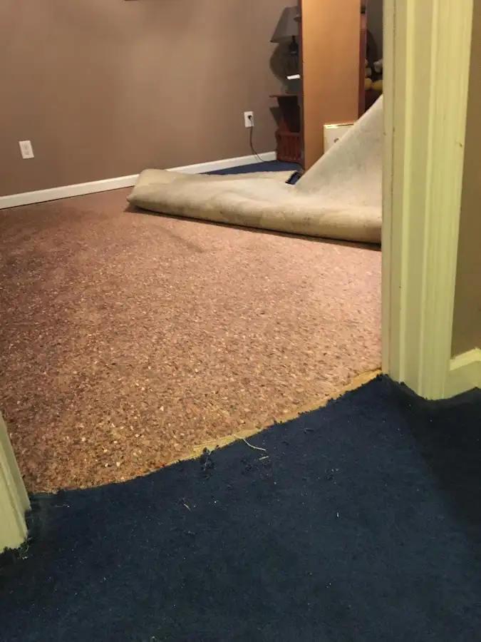 Carpet pad removal revealing water damage during Drying & Dehumidification in Beech Grove