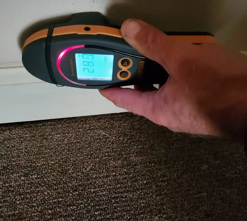 Moisture detection at baseboard during Burst Pipe Cleanup in Beech Grove